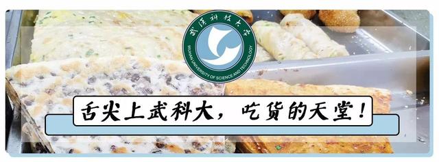 武汉科技大学，神一样的大学