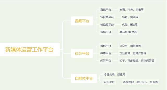 新媒体平台有哪些？这4个常用平台，你都有了解吗？