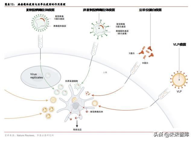 新冠疫苗专题研究：救黎民于水火，解百姓于倒