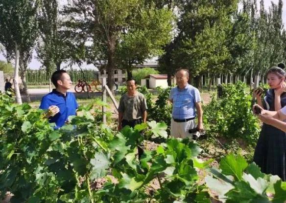 楊凌農(nóng)科，見證小康足跡——2020走出楊凌看示范活動圓滿收官