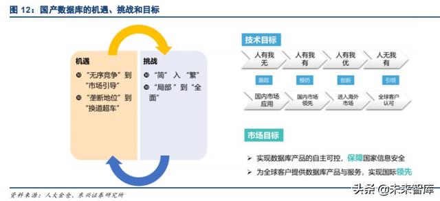 国产数据库专题报告：黄金赛道龙头，十倍成长空间