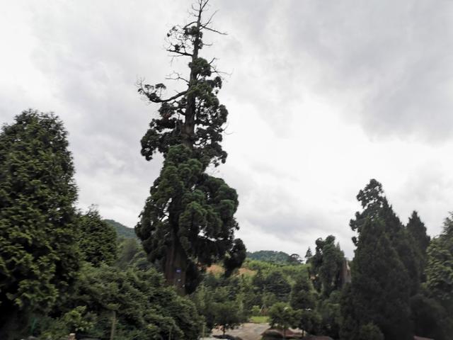 �𷨸��� �� ���ٴ�ʦ�����ֵߵ�