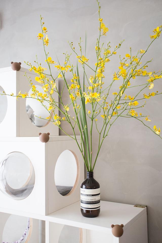 民宿主夫妇爆改96m²两室，两人一猫的神仙生活太治愈了吧