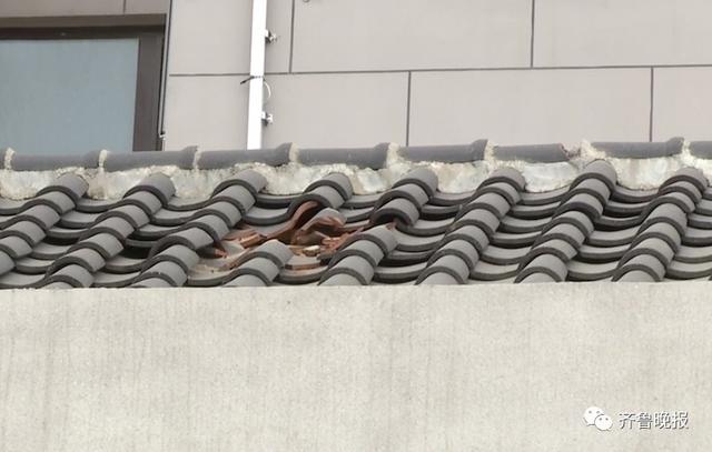 天降锅碗瓢盆自行车，济南一小区22楼花式抛物