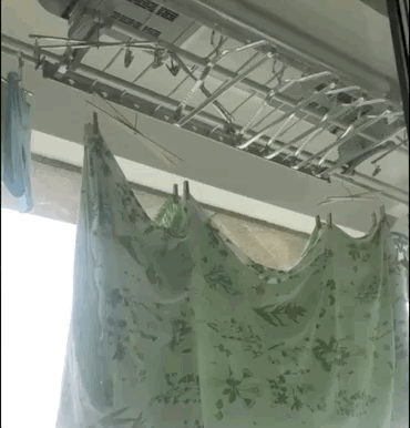 专访阿里达摩院聂再清：不能让人人无差别享受AI，是程序员的耻辱