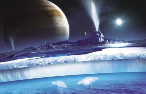 一旦宣布发现火星生命会怎么样？科学家：人类