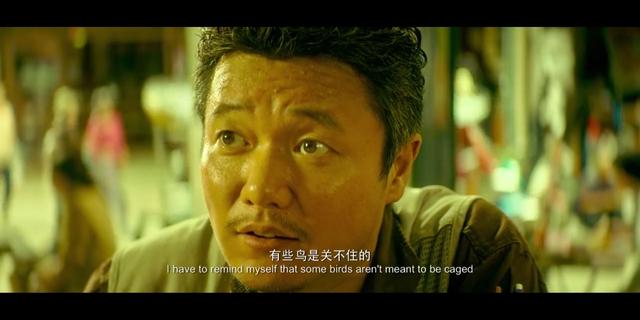 国内为数不多的好口碑悬疑电影，《误杀》被称