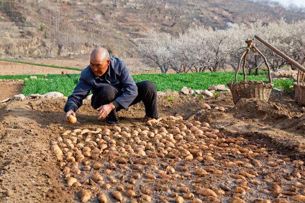 一个美国农民能养活150个美国人，中国农民呢？问题原来出在这