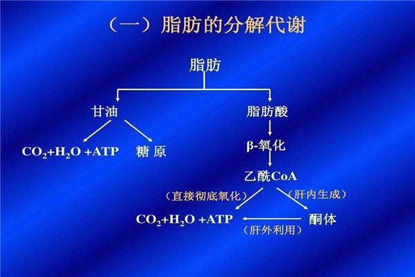 甲亢患者在饮食方面需要注意什么？这种食物不吃最好
