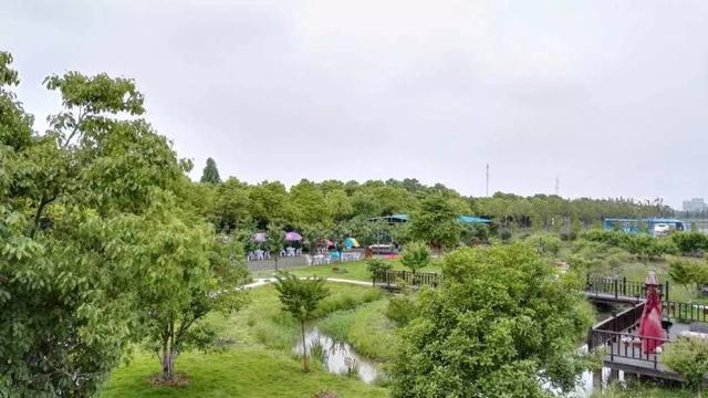 黄浦江以南的上海市松江区泖港镇：人口少、离