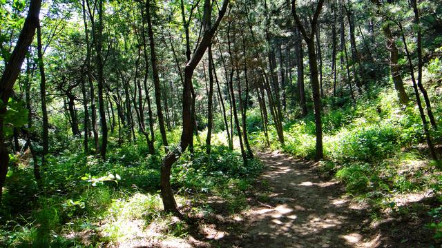 高标北镇,秀耸辽西,大美医巫闾 高标北镇,秀耸辽西,大美医巫闾