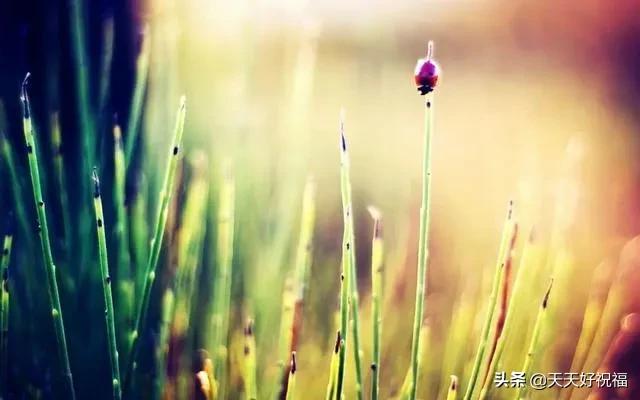 自我|2020早晨好自我激励的正能量语句，心灵鸡汤经典说说句子