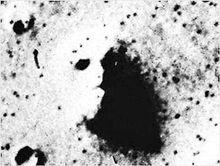 这张“火星之脸”的太空照片，有科学家猜测可能是火星生命的杰作