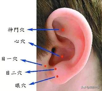 耳朵可以治百病