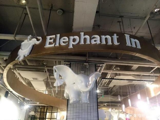 明星出道的机缘巧合，肖战出道前是设计师，沈月被当成模特救场