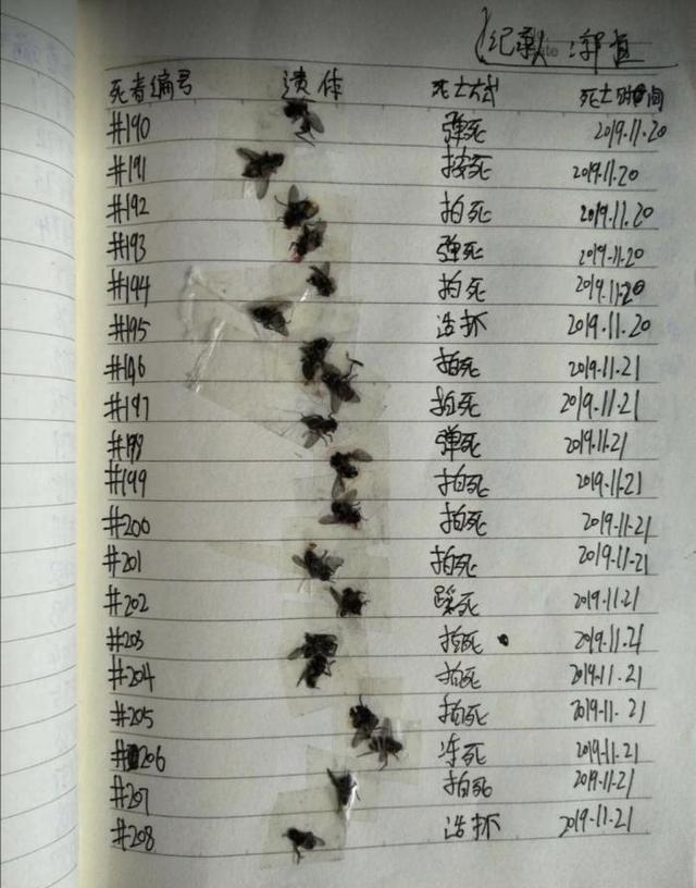 搞笑图片：你们见过苍蝇的26种死法吗？无聊网友