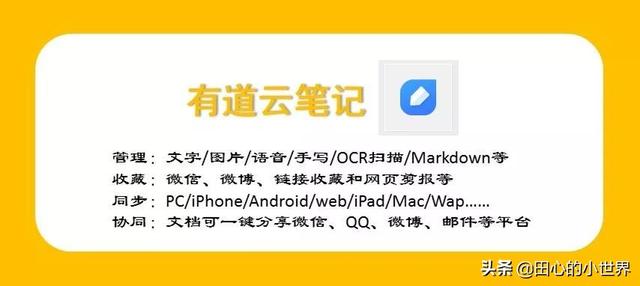 如何用有道云笔记管理我们的资料？