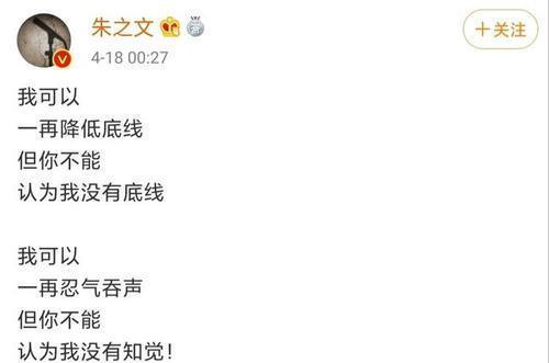 朱之文事件后续：假大衣哥被封号，村里游乐场