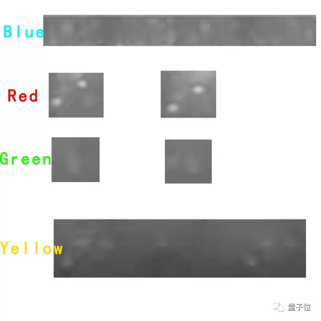 南开校长曹雪涛团队12篇论文被调查