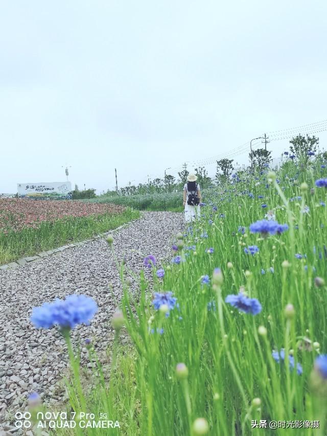 华为nova7pro手机前置追焦双摄实拍评测，一键生成