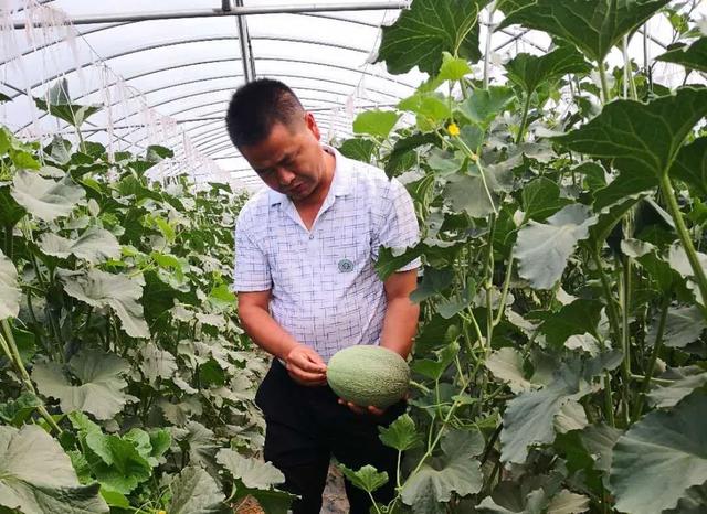 走向我們的小康生活| 村里來了“科特派”