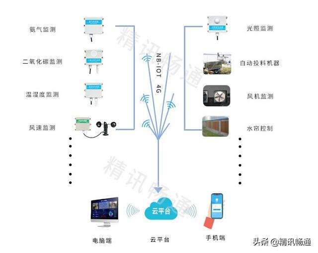 精讯畅通：智慧畜牧养殖解决方案