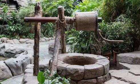 为什么在古井中会发现巨龟?