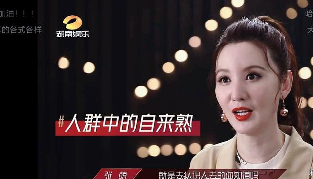 《乘风破浪的姐姐》：中年职场女人群像