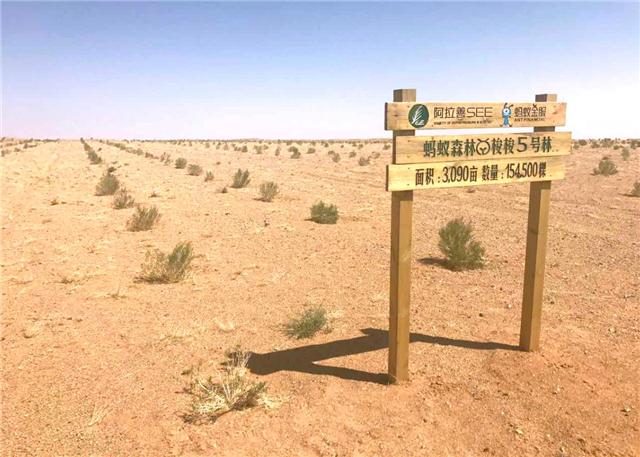 互联网时代，又一“新风口”来了？这一行，比