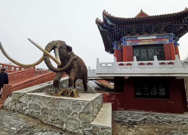 一个东北人的三亚地产泥潭：起底牡丹江曹园老板的商业版图丨棱镜