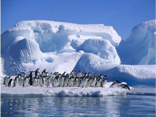 科学家在南极都发现了什么隐秘，他们提出了这种猜测