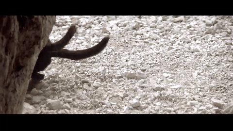 ����9.1�֣���ʵ�¼��ı࣬�ⲿ���ص�Ӱ���ҿ�һ�ο�һ��