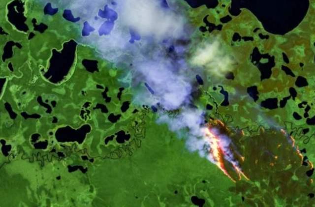 万年|西伯利亚正经历八万年一遇高温 致命病毒细菌或被释放