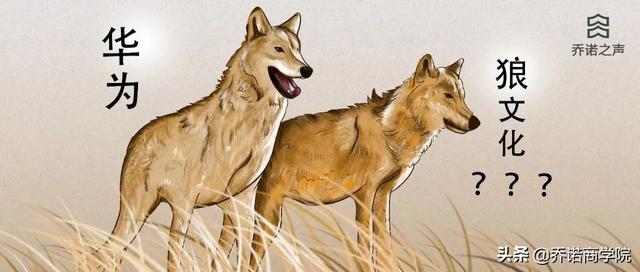 华为文化究竟是不是狼文化？