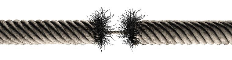 “事实+逻辑”：预测全球新冠疫情蔓延的六大深