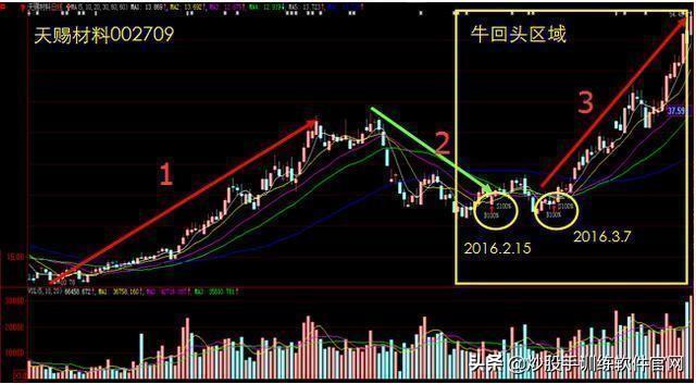 做精一只股，20%资金介入，下跌10%抛，涨20%加仓