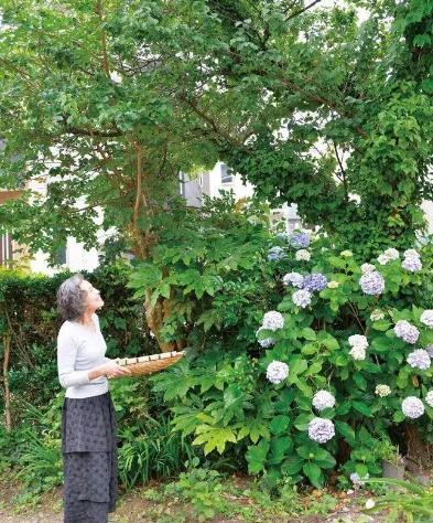 74岁的日本主妇晒精致生活照走红，网友：她是真正把日子过成了诗