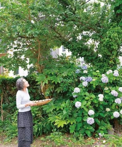 74歲的日本主婦曬精致生活照走紅，網(wǎng)友：她是真正把日子過成了詩