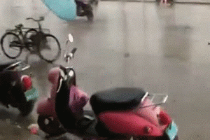 那些被风吹的尴尬时刻，哈哈哈哈快来看看吧！