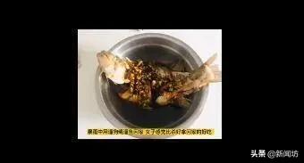 遛鱼|女子水中遛鱼回家 这操作直接把网友看呆了