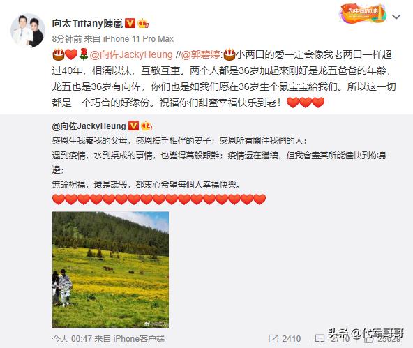 向太官宣郭碧婷怀孕！郭碧婷遇到强势的婆婆，到底是幸还是不幸？