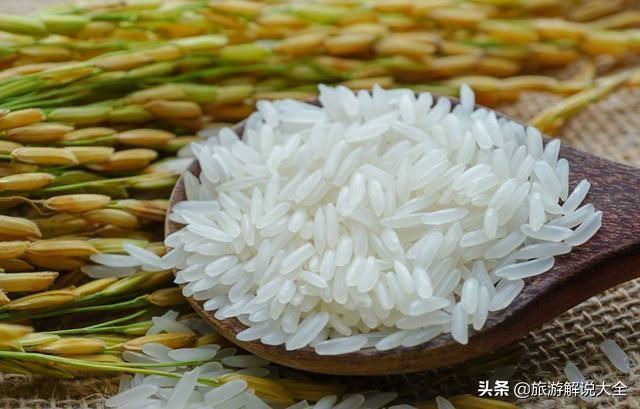 越南暫停出口一個月內(nèi)，近500集裝箱大米變質(zhì)，我們該不該出手？