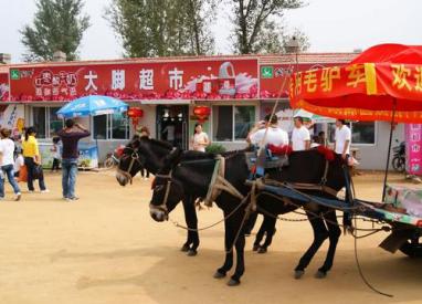 中国又一景区“黄了”，曾是打卡必到景点，因宰客如今门可罗雀