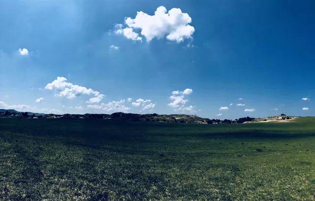 八月|七月，再见！八月，你好！祝你岁月无波澜，敬我余生不悲欢