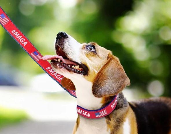 不急疫情急选情！特朗普狗链等竞选商品网上热