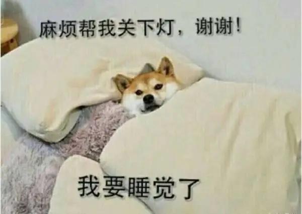 孕期究竟要怎么睡,才能既不伤娃也不伤身?