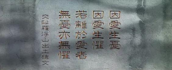 骂这些电影这么多年，今天才知道骂错了
