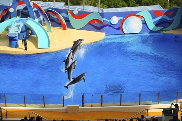 香港旅游再遭重创！海洋公园下月或倒闭，50%以上客源来自内地