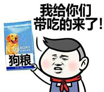 论单身汪如何优雅地度过520？