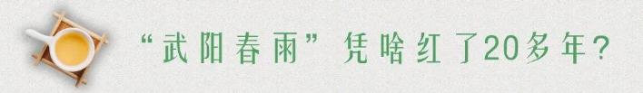 “武阳春雨”飘香“国际茶日”武义县长喊你来